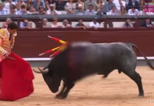 Ισπανία: Η στιγμή που ταύρος τραυματίζει & πετάει στον αέρα ταυρομάχο