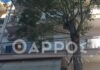 Καλαμάτα: «Βοήθεια» φώναζε η 39χρονη πριν δολοφονηθεί από τον σύζυγό της – Συχνοί οι καβγάδες το τελευταίο διάστημα, λένε γείτονες