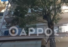 Καλαμάτα: «Βοήθεια» φώναζε η 39χρονη πριν δολοφονηθεί από τον σύζυγό της – Συχνοί οι καβγάδες το τελευταίο διάστημα, λένε γείτονες