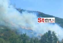 Φωτιά τώρα στα Πεύκα Θεσσαλονίκης: Καίει σε δασική περιοχή, στην «μάχη» και εναέρια μέσα
