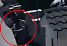 Στιγμές τρόμου στους Θρακομακεδόνες – Πέντε διαρρήκτες πήδηξαν μάντρα σπιτιού και ψέκασαν με σπρέι την ιδιοκτήτρια