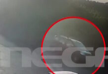 Σταυρούλα Λεβεντάκη: Βίντεο ντοκουμέντο με τη διαδρομή του 43χρονου Σκοπιανού με το μπλε βαν, μετά την δολοφονία