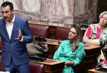 Πέτη Πέρκα: Ο Χαρίτσης ήταν πρόεδρος κόμματος ενώ κοιτούσε να πάει σε άλλο, ο Τσίπρας δεν είναι αριστερά
