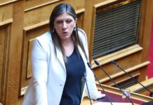 Μήνυση της Ζωής Κωνσταντοπούλου κατά Γεωργιάδη και Μαρινάκη διαβιβάστηκε στη Βουλή