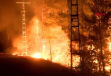 Τεράστια πύρινα μέτωπα στη νότια Τουρκία