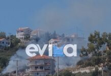 Φωτιά στην Εύβοια: Στο Αλιβέρι δίπλα σε σπίτια