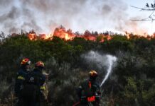 Πυρόπληκτα δάνεια: Τι ζητούν τα Επιμελητήρια