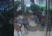 Προσποιούνταν τους υπαλλήλους του ΔΕΔΔΗΕ και άρπαξαν τα κοσμήματα 68χρονης στην Αθήνα – Ανήλικοι διέρρηξαν κατάστημα εστίασης στην Πάτρα