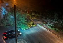 Δράμα: Ισχυρές καταιγίδες και πτώσεις δέντρων από την κακοκαιρία – Εγκλωβίστηκαν οδηγοί