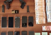 Βοιωτία: 8 συλλήψεις για διακίνηση κάνναβης – Ξεριζώθηκαν πάνω από 1.500 δενδρύλλια, δείτε βίντεο