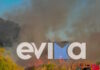 Εύβοια: Συναγερμός για φωτιά στην Ερέτρια