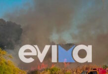 Εύβοια: Συναγερμός για φωτιά στην Ερέτρια