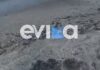 Εύβοια: Ανησυχία από τα χιλιάδες νεκρά ψάρια που γέμισαν παραλία
