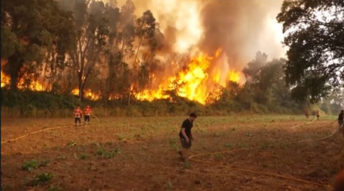 fire.jpg