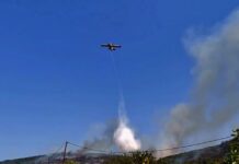 Φωτιά κοντά στα διόδια Αφιδνών – Επιχειρούν και ενάερια μέσα