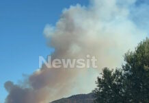 Φωτιά και στην Αχαΐα, στην περιοχή Nεραντζιές Αιγιαλείας: Ήχησε το 112 – «Παραμείνετε σε ετοιμότητα»