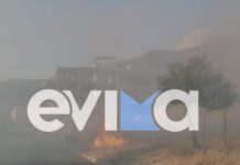 Φωτιά στην Κάρυστο Ευβοίας: Καίει κοντά σε σπίτια – Μήνυμα του 112, «απομακρυνθείτε προς Αετό»