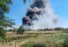 Φωτιά στο Καλοχώρι Θεσσαλονίκης – Επιχειρούν 18 πυροσβέστες