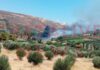 Φωτιά στην Κνωσό – Εκκενώθηκε προληπτικά ο αρχαιολογικός χώρος