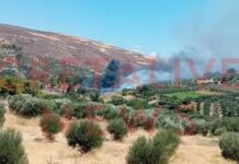 Φωτιά στην Κνωσό – Εκκενώθηκε προληπτικά ο αρχαιολογικός χώρος
