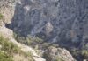 Φωτιά στο Ρέθυμνο: Περιορισμένες οι ζημιές στο Φοινικόδασος της Πρέβελης