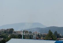 Φωτιά στην Παλλήνη: Καίει κοντά σε σπίτια – Ήχησε το 112, «παραμείνετε σε ετοιμότητα»