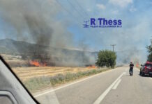 Φωτιά στη Θέρμη Θεσσαλονίκης: Επιχειρούν εναέρια μέσα