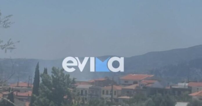 fotiaevoia-1-1200x630.jpg