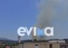 Φωτιά στη Λάτα Αλιβερίου στην Εύβοια – Μήνυμα από το 112 «παραμείνετε σε ετοιμότητα»