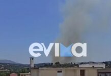 Φωτιά στη Λάτα Αλιβερίου στην Εύβοια – Μήνυμα από το 112 «παραμείνετε σε ετοιμότητα»