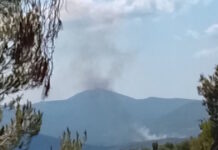 Φωτιά στην Οινόη: Επιχειρούν 2 αεροσκάφη και 1 ελικόπτερο