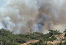Φωτιά στη Ρόδο – Ρίψεις νερού από 3 αεροπλάνα και ένα ελικόπτερο