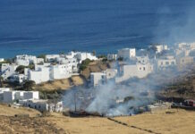 Φωτιά στην Τήνο: Καίει ξερά χόρτα στον δρόμο προς Πόρτο