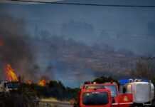 Μπαράζ πυρκαγιών το Σάββατο: 60 μέτωπα, 16 ταυτόχρονες εστίες σε Κεντρική Μακεδονία – Καμπανάκι για ακαθάριστα οικόπεδα