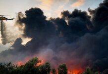 Συναγερμός σε Πολιτική Προστασία και Πυροσβεστική για φωτιές στην Τετάρτη: «Καταβάτες άνεμοι όπως στο Μάτι»
