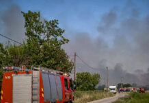 Φωτιά στη Χαλκιδική στην περιοχή Παράδεισος: Επίγειες δυνάμεις στο σημείο