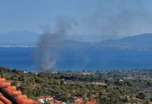 Φωτιά στην Εύβοια στην περιοχή Πολιτικά – Εναέρια μέσα στο σημείο