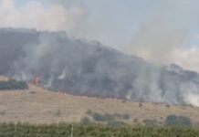 Φωτιά στον Αργυρόμυλο Λάρισας: Μάχη των πυροσβεστών με τους ισχυρούς ανέμους
