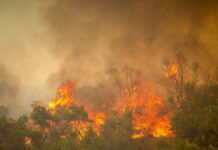 Φωτιά στη Λέσβο: Ήχησε το 112 για εκκένωση του Πλωμαρίου προς τον Άγιο Ισίδωρο
