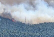 «Η φωτιά στην Οινόη μπορεί να ξεκίνησε από τσιγάρο που πετάχτηκε από αυτοκίνητο», λέει ο δήμαρχος Μάνδρας – Ειδυλλίας