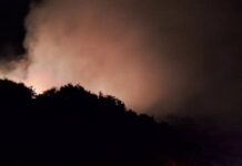 Φωτιά σε δάσος στη Σάμο στην περιοχή Προφήτης Ηλίας