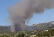 Φωτιά στην Αγία Ελένη Τροιζηνίας – «Εκκενώστε προς την περιοχή Άνω Φανάρι»