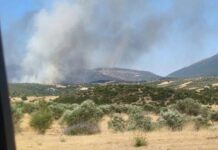 Φωτιά στην Αγία Ελένη Τροιζηνίας: Χωρίς ενεργό μέτωπο, οι δυνάμεις παραμένουν στο σημείο