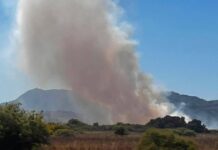 Φωτιά στην Κέρκυρα, στην περιοχή Γιαννάδες – Επιχειρούν εναέρια μέσα