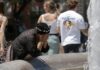 Καιρός: Αύριο η πιο ζεστή ημέρα της εβδομάδας – Υποχωρεί η θερμοκρασία από την Τετάρτη, επιστρέφουν οι ενισχυμένοι άνεμοι