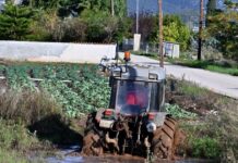 Ο ΕΛΓΑ ξεκίνησε τις καταγραφές ζημιών από τις χαλαζοπτώσεις – Αποζημιώσεις στο 100% και προκαταβολές στα πρότυπα Daniel