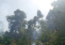 Φωτιά στο Άνω Κεράσοβο Αιτωλοακαρνανίας – Σηκώθηκαν 4 αεροσκάφη
