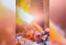 Μαφία της Κρήτης: Σοκαριστικά βίντεο με μέλη να «βαράνε» μπαλωθιές σε γλέντια και πανηγύρια