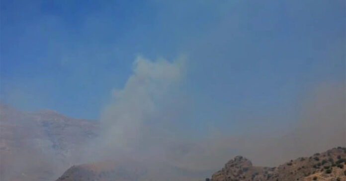 krya-brisi-1200x630.jpg