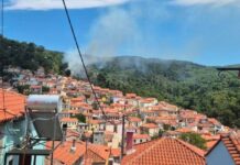 Υπό έλεγχο η φωτιά στην Αγιάσο Λέσβου: Ήχησε το 112 για ετοιμότητα